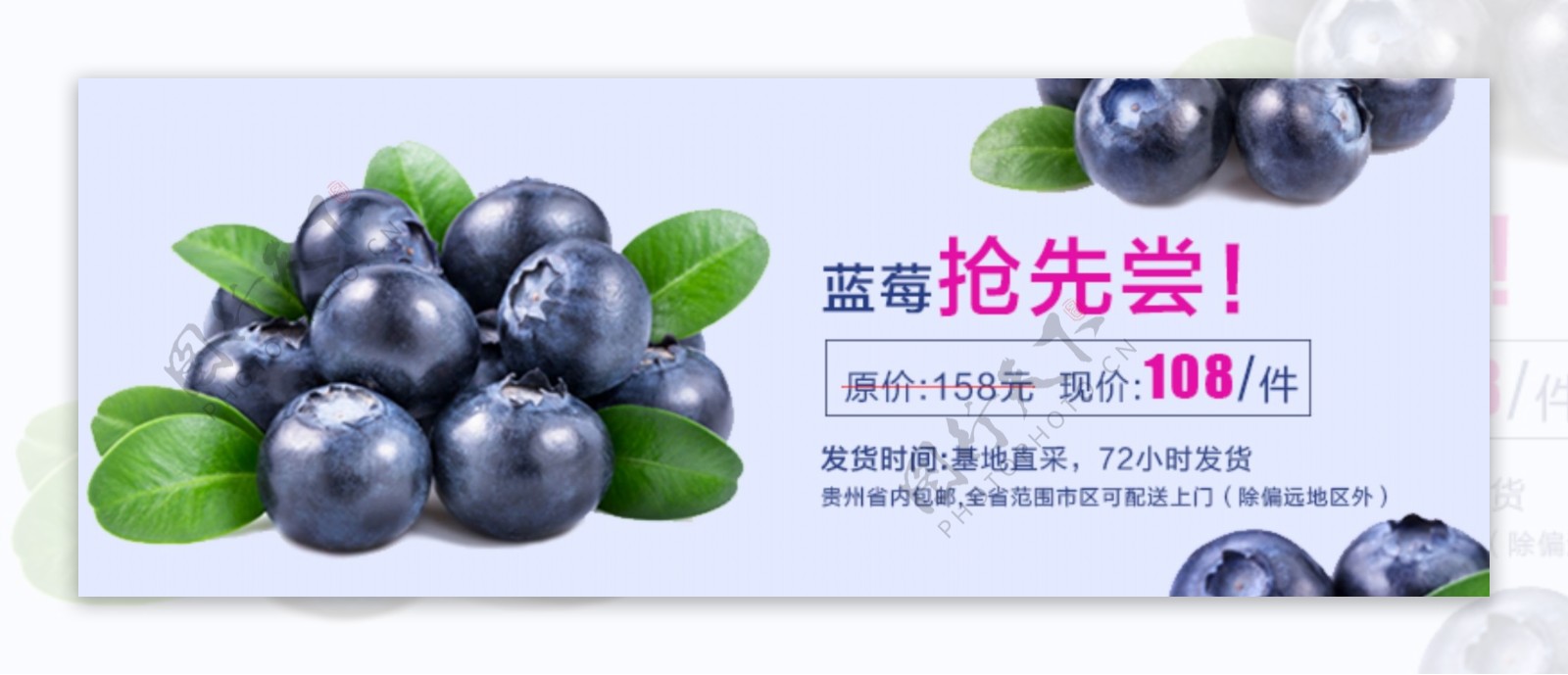 蓝莓预售海报