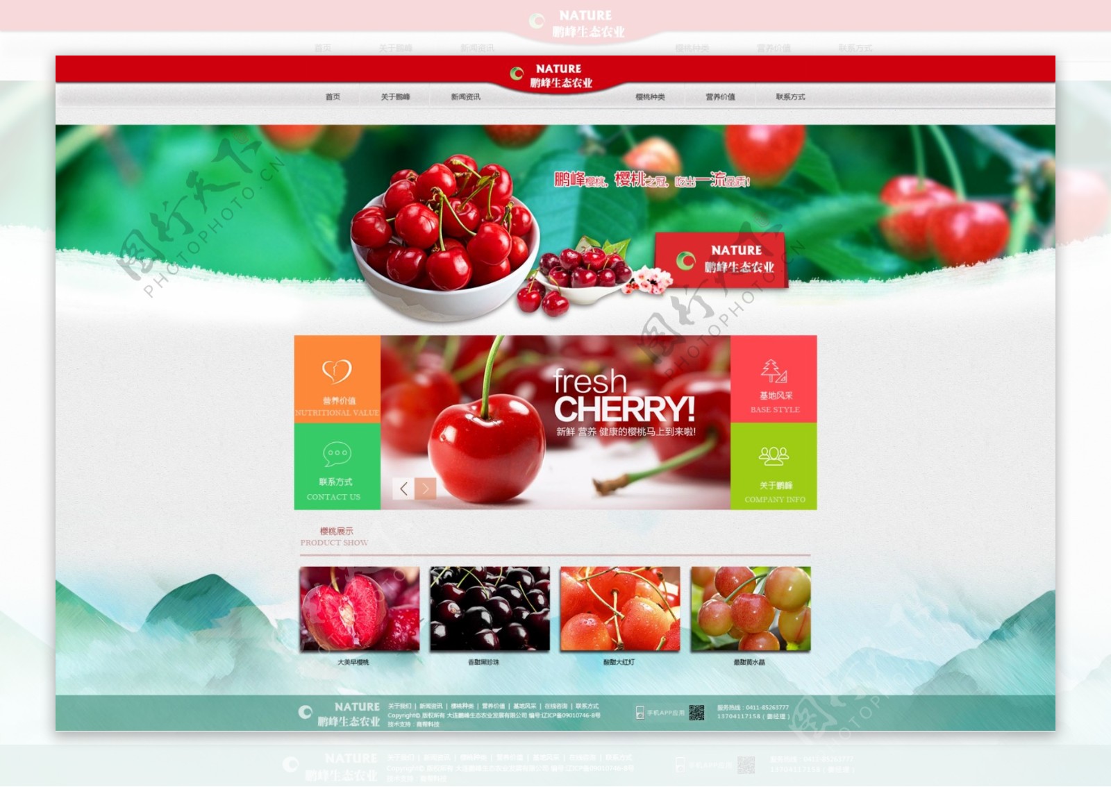 樱桃水果网站设计