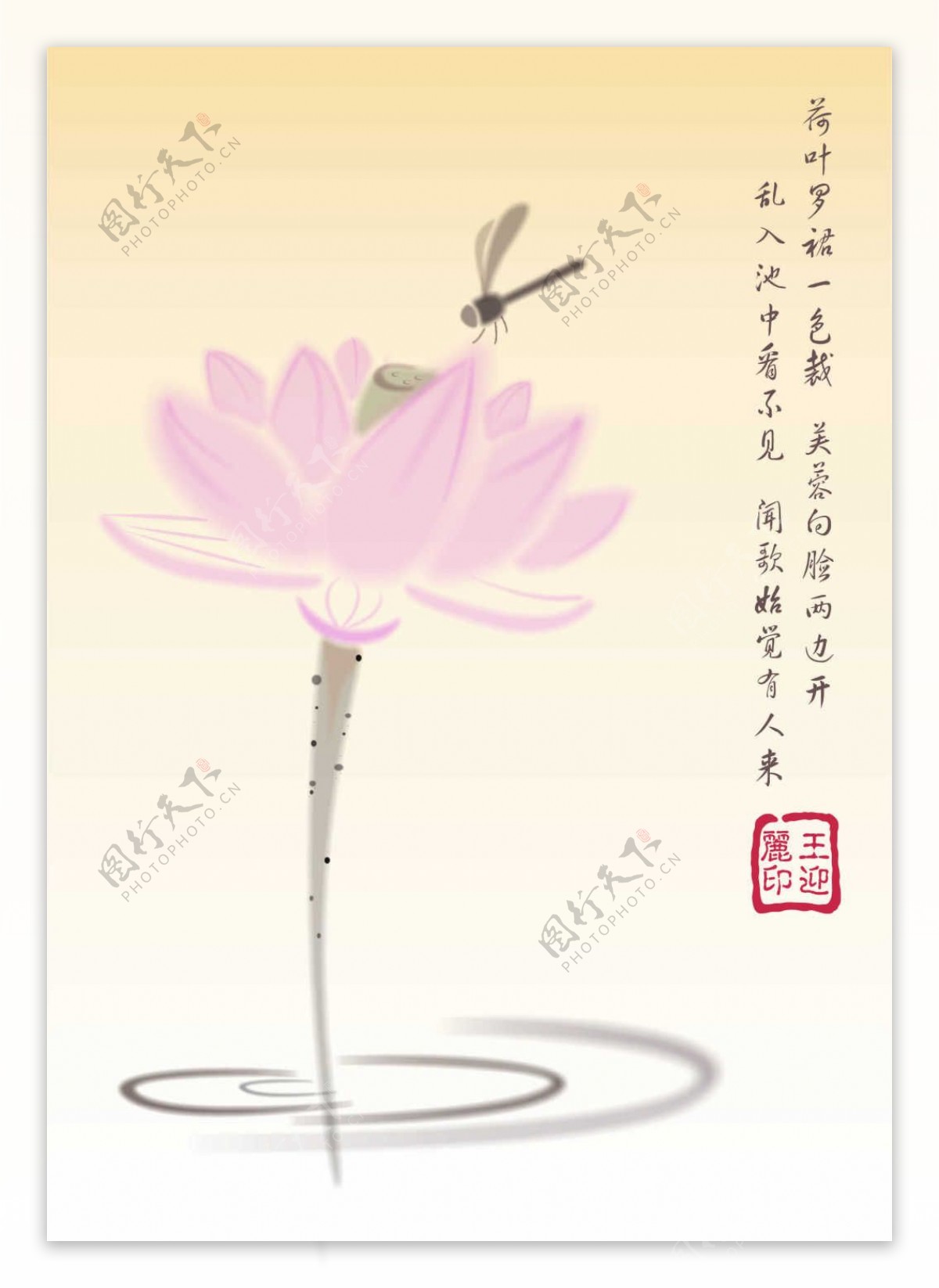中国风荷花蜻蜓素材出水芙蓉