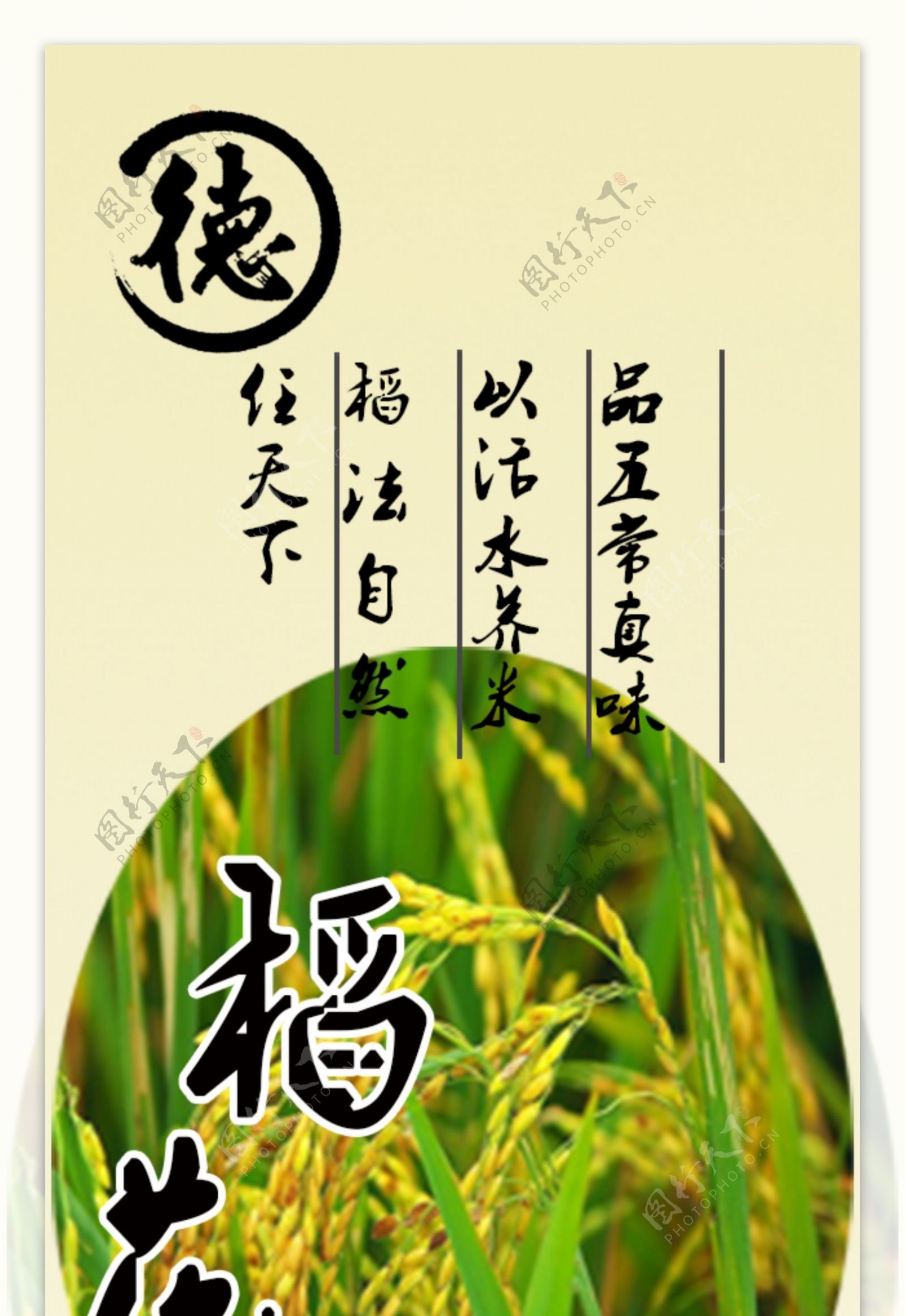 五常稻花香米外包装标签设计