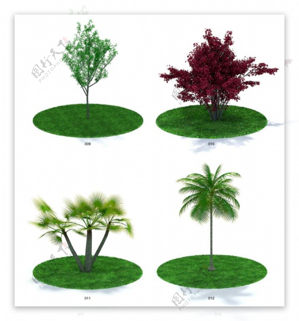 室外植物