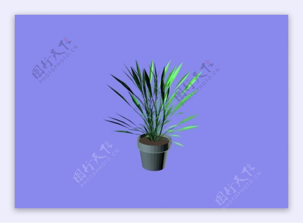 植物3D模型素材20080502更新27
