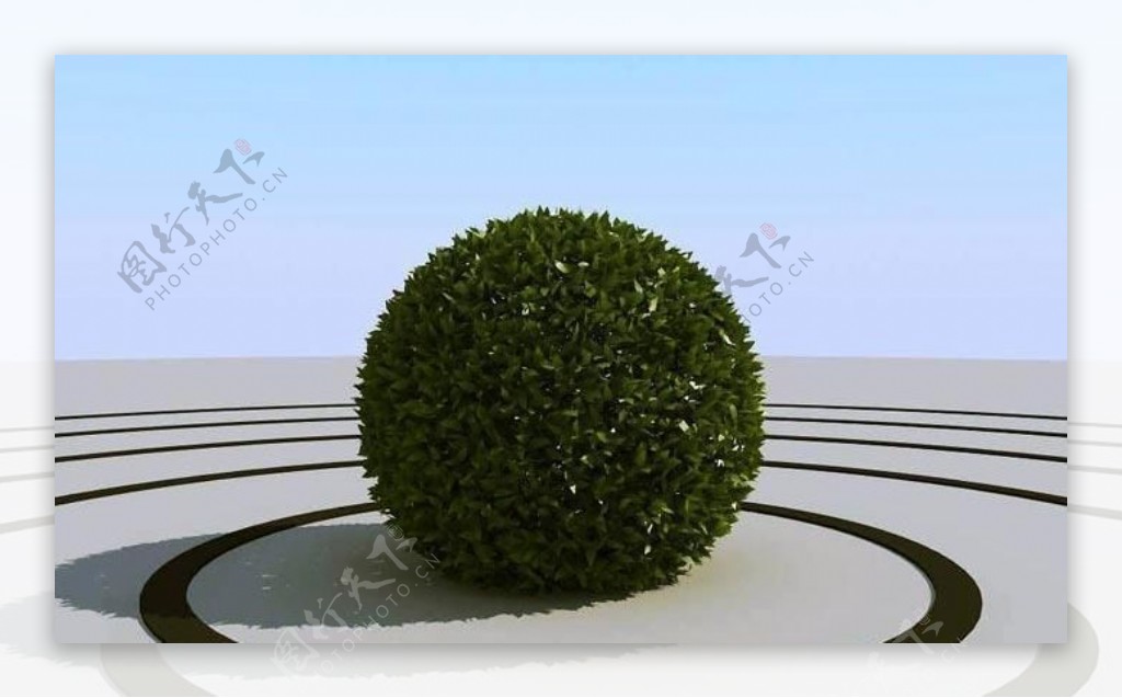 高精细球形的灌木丛模型bushball02