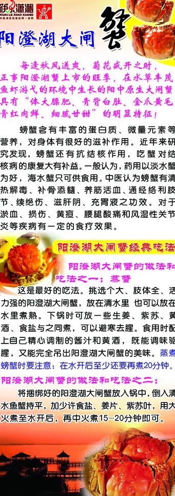 阳澄湖大闸蟹易拉宝图片