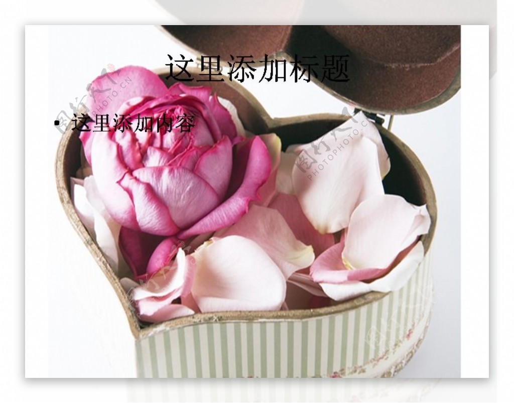 花瓣心形礼盒图片