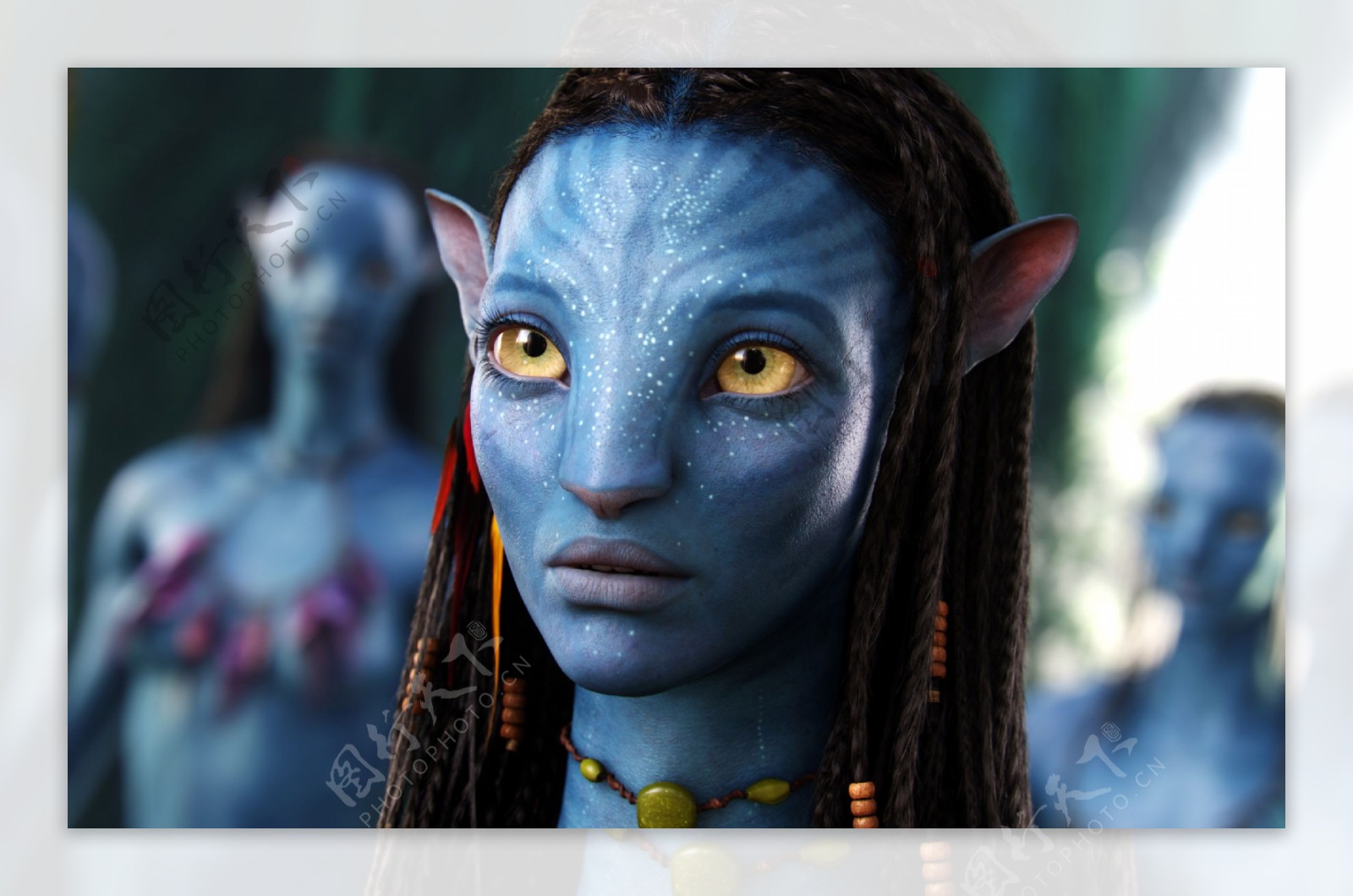 Avatar阿凡达女主角3D科幻电影壁纸