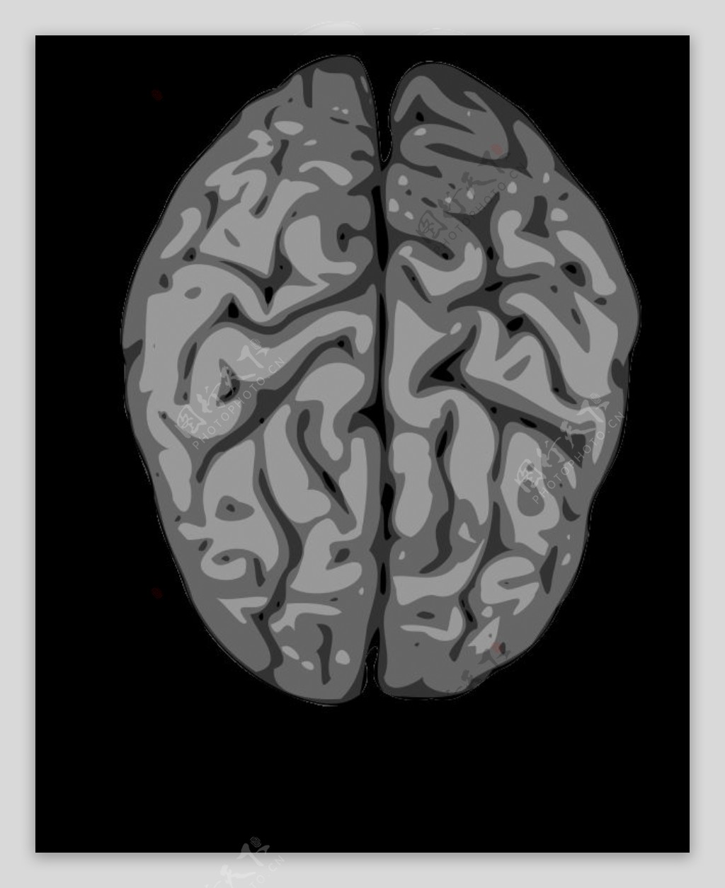 灰色的大脑