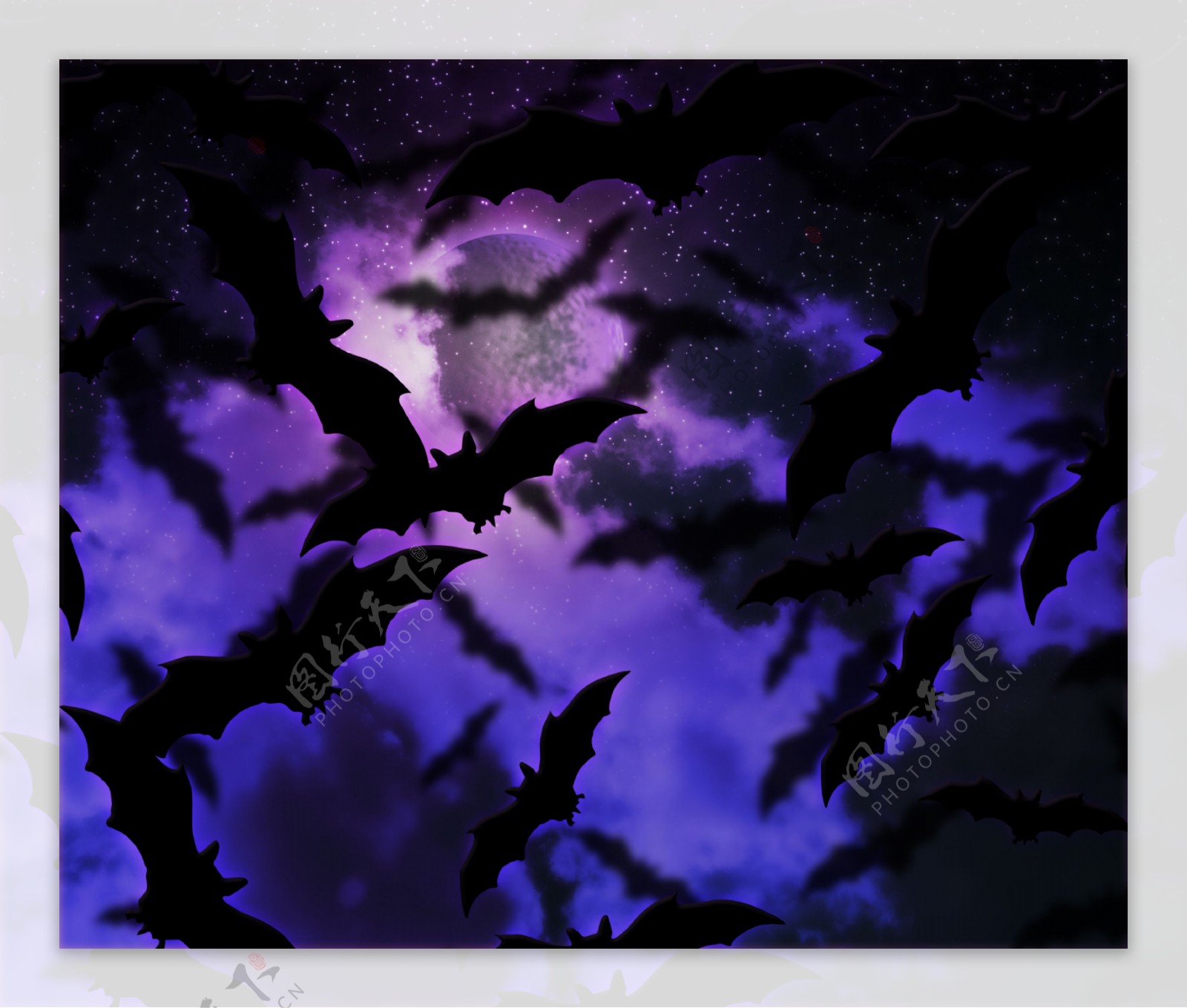 蝙蝠万圣节之夜的背景
