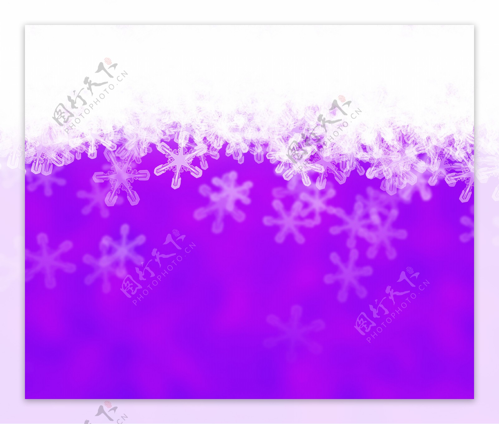 紫摘要雪的背景