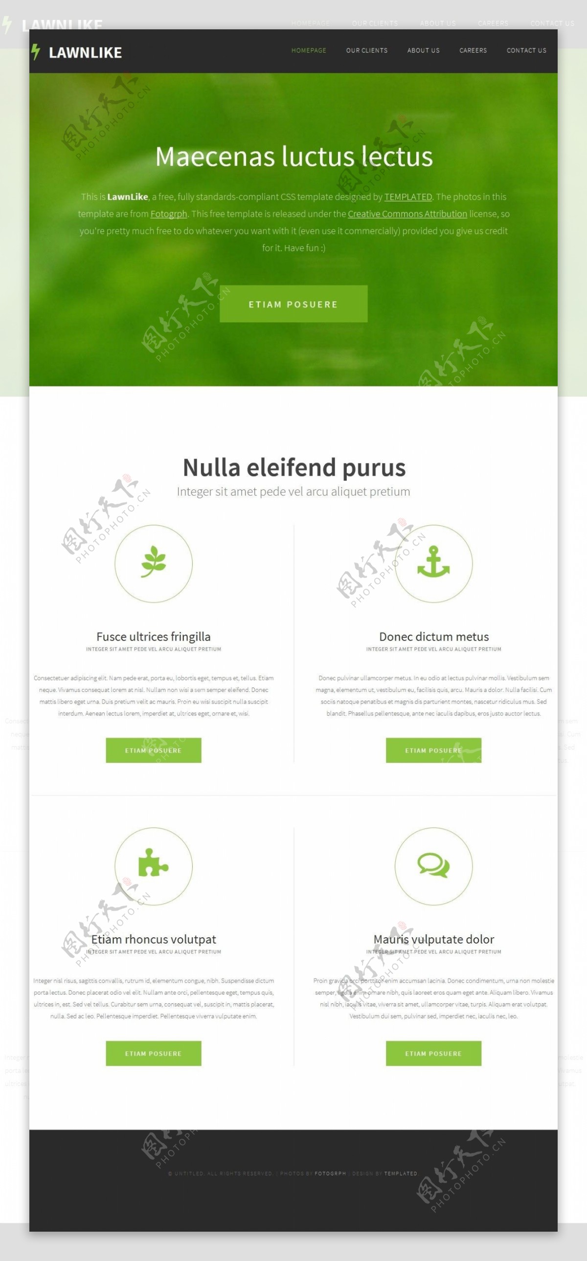 绿色草坪信息网页模板