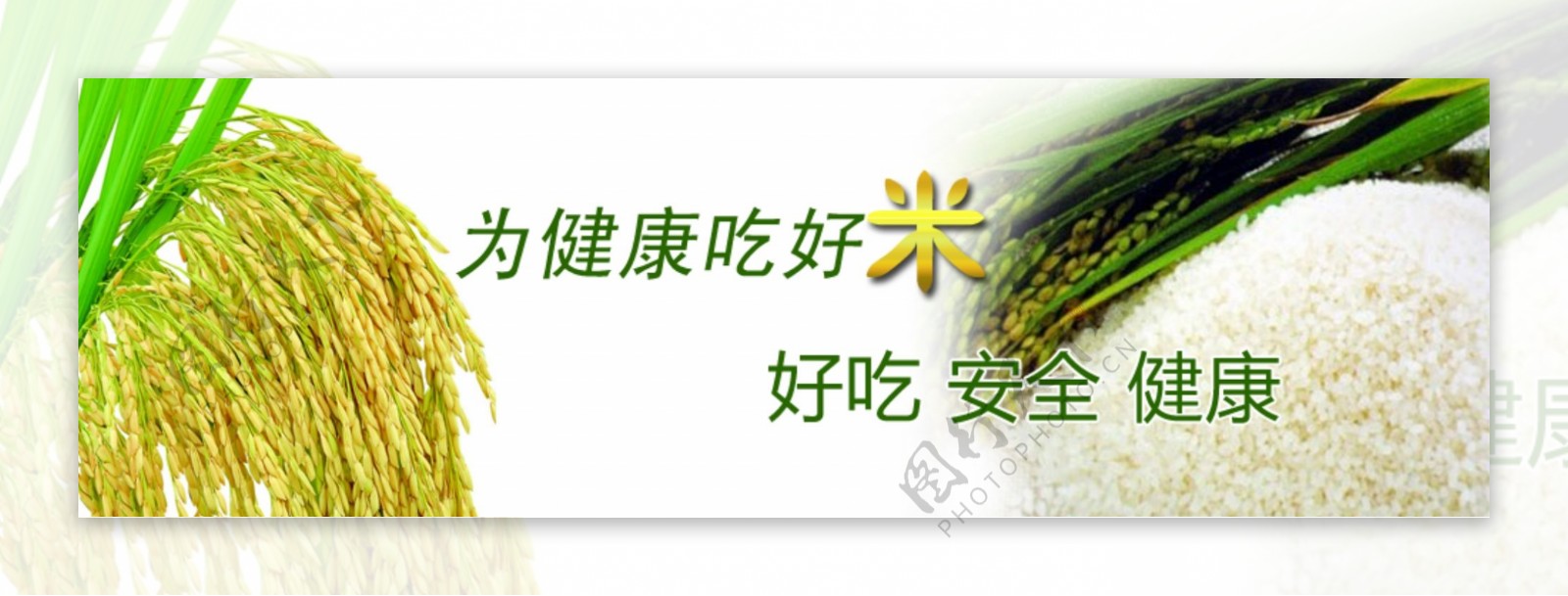 米banner水稻图片