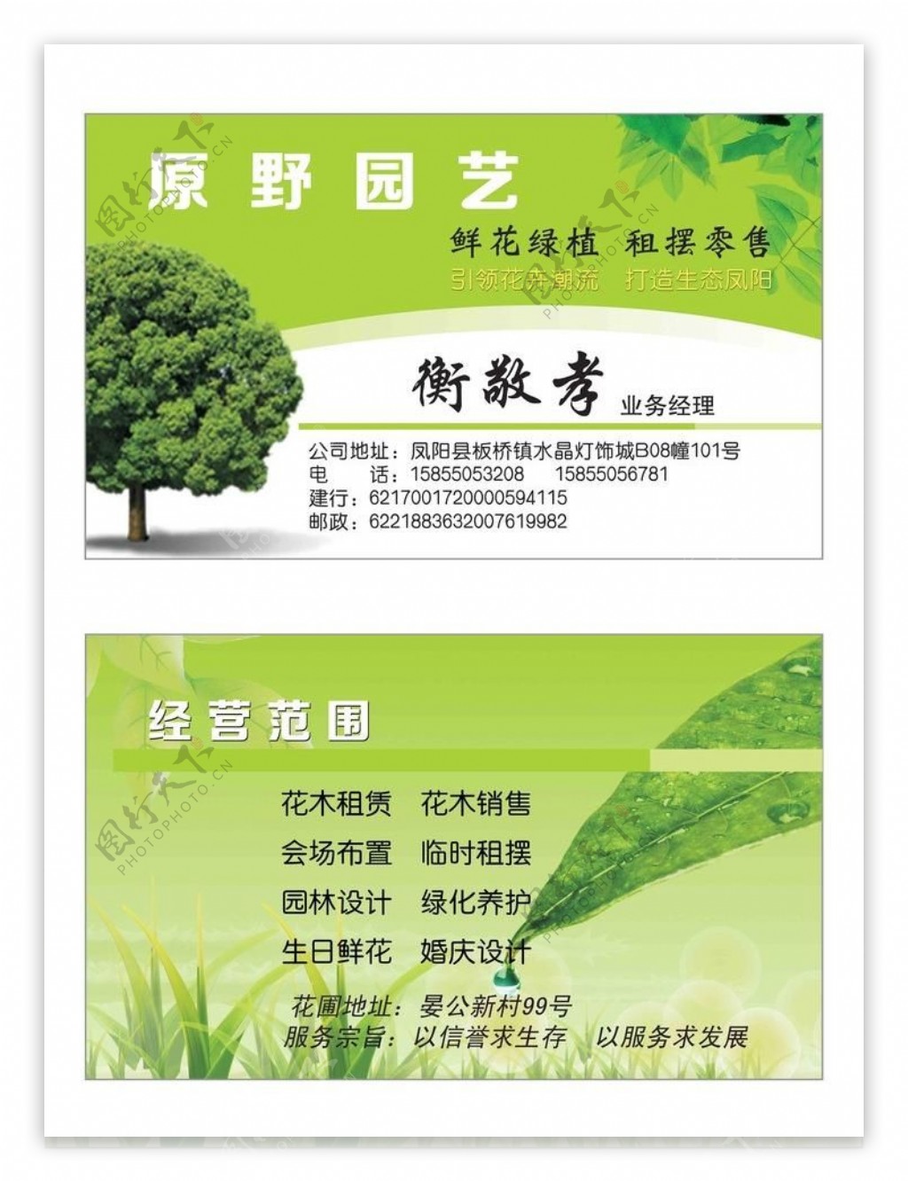 绿色名片环保植物图片