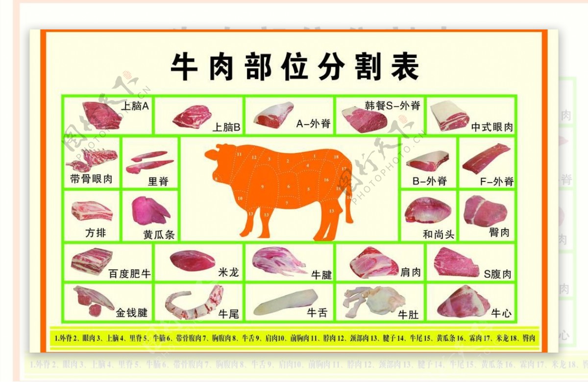 牛肉部位分割表图片
