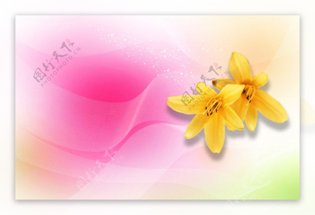 粉红花朵背景相册PSD素材