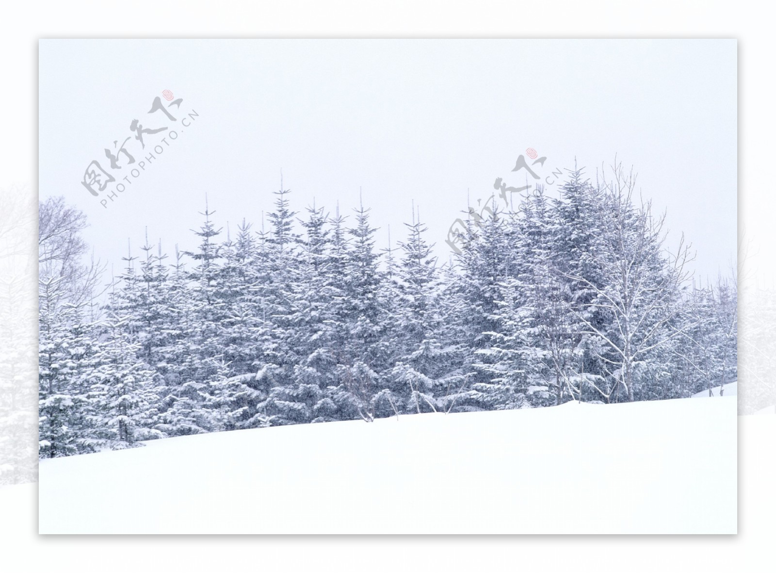 冬天雪景