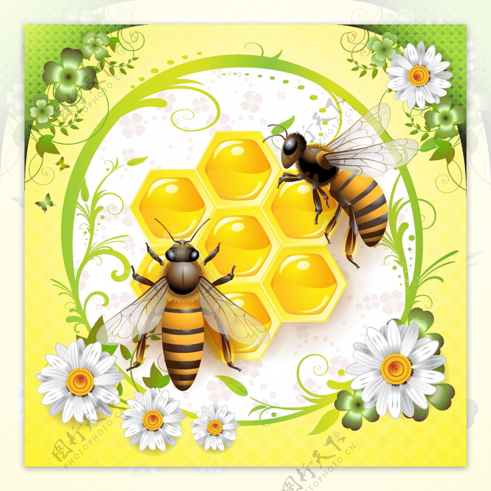矢量素材蜜蜂鲜花蜂蜜