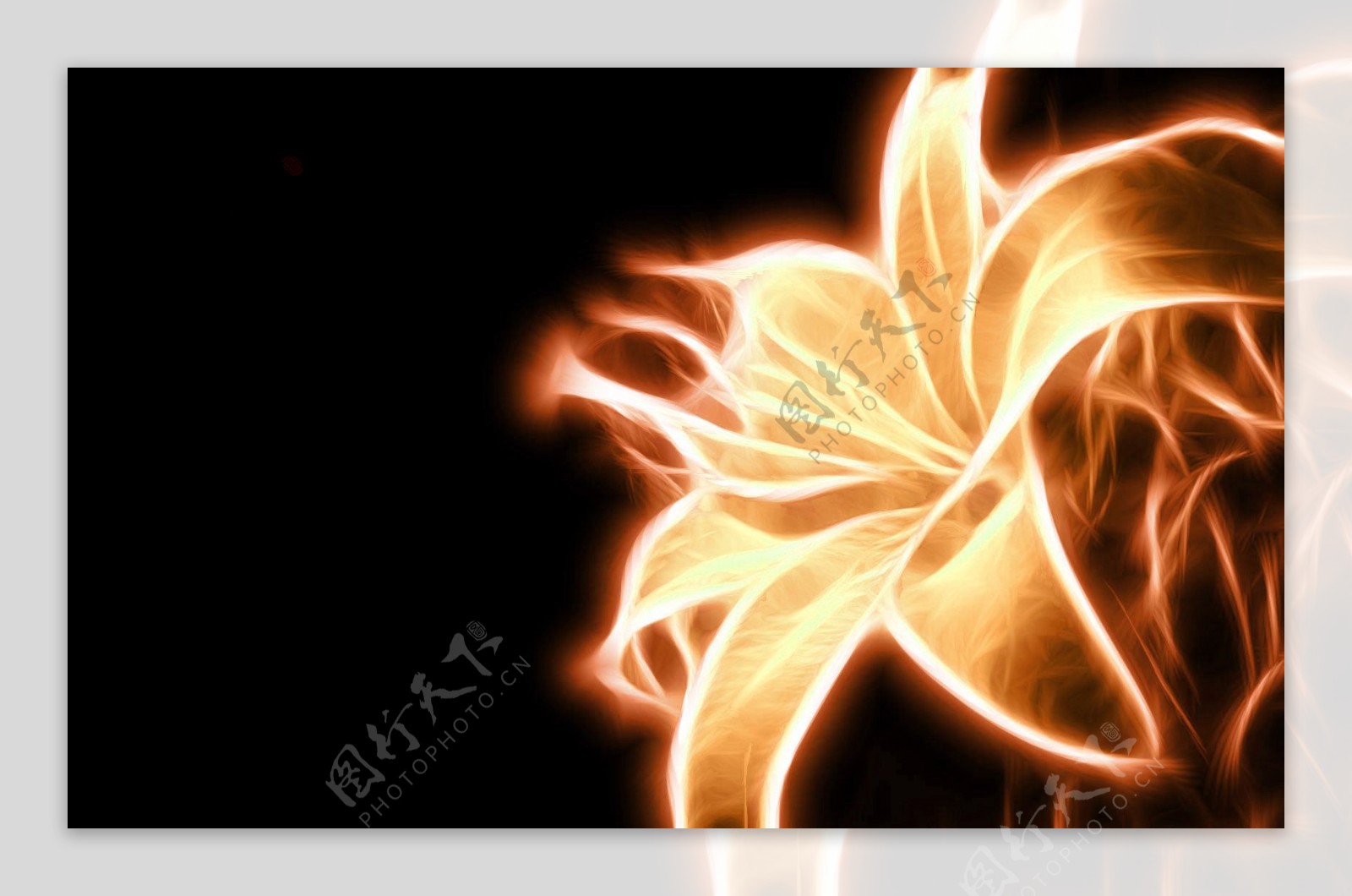 火红栀子花创意设计图片素材