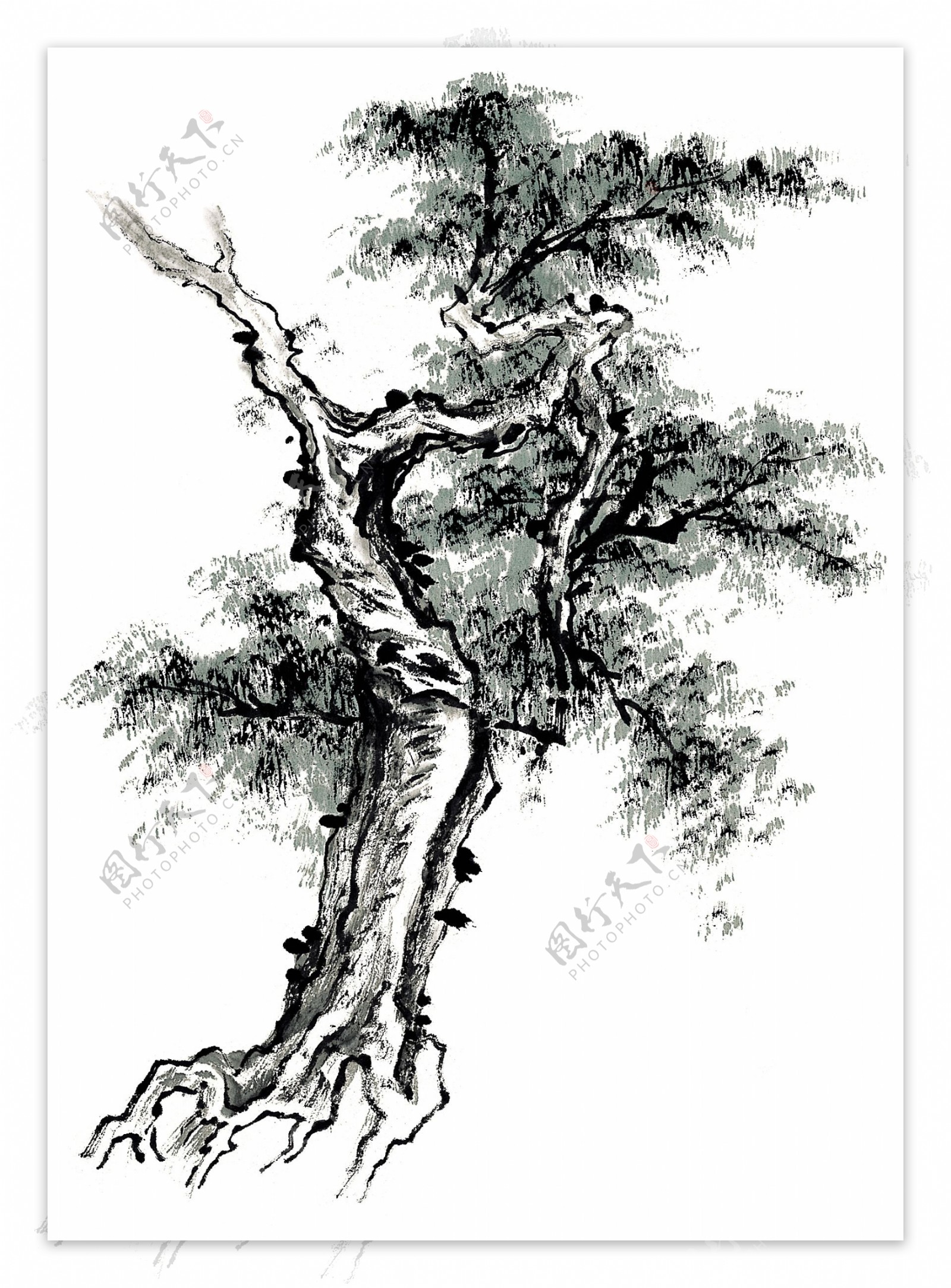 画家手绘高大别样的古树水墨画图片 - 水彩迷