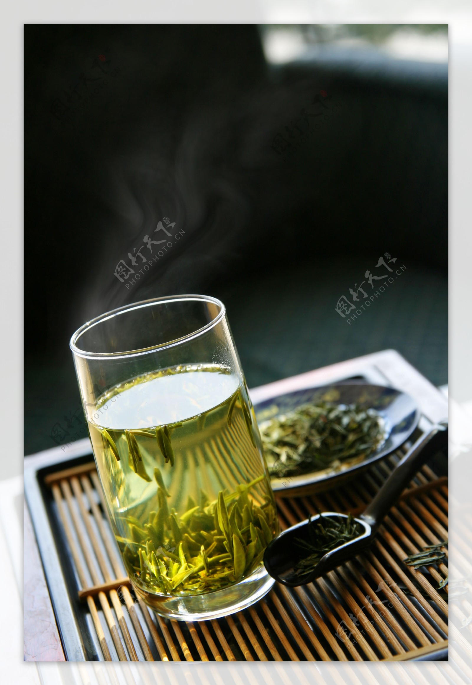炒茶竹叶青图片