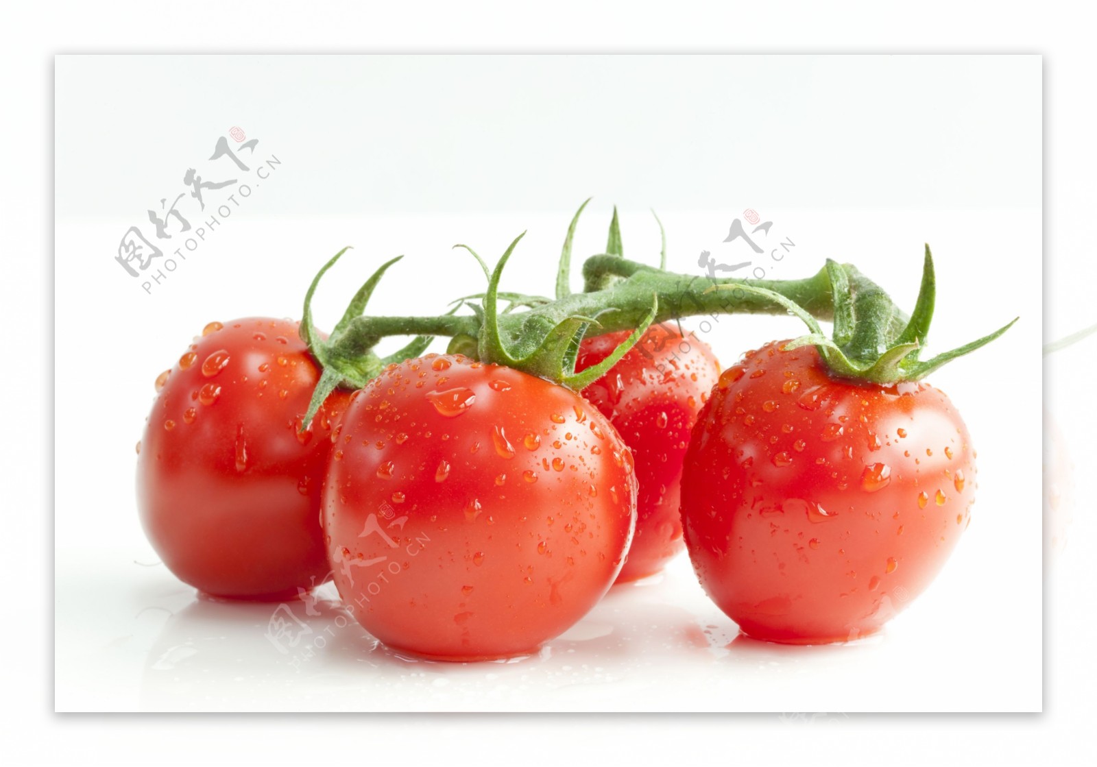 新鲜番茄高清图片素材