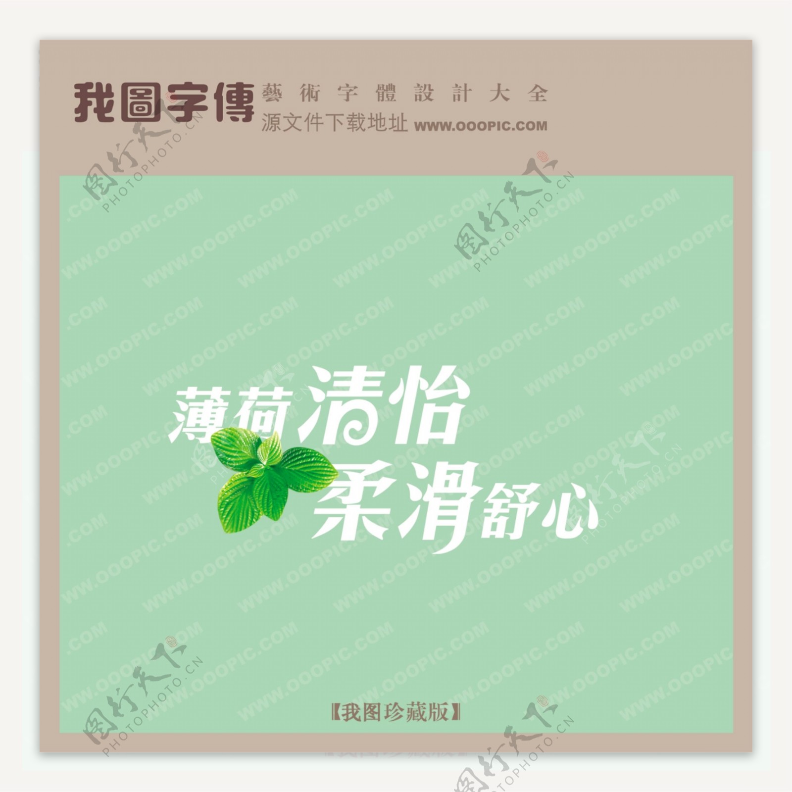 薄荷清怡柔滑舒心