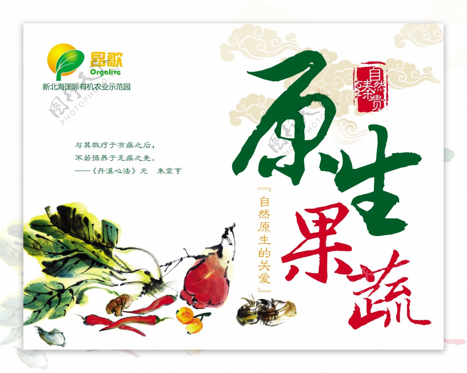 中国风蔬菜包装设计图片