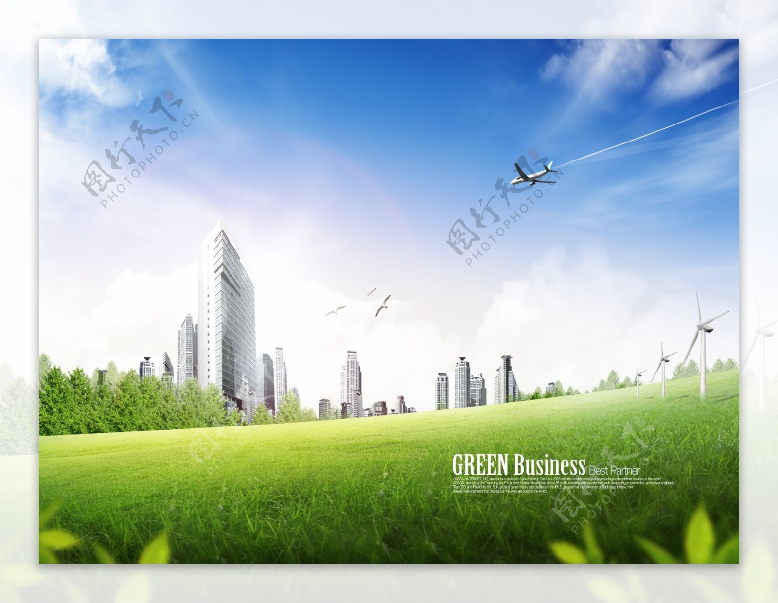 绿色草地和城市楼群