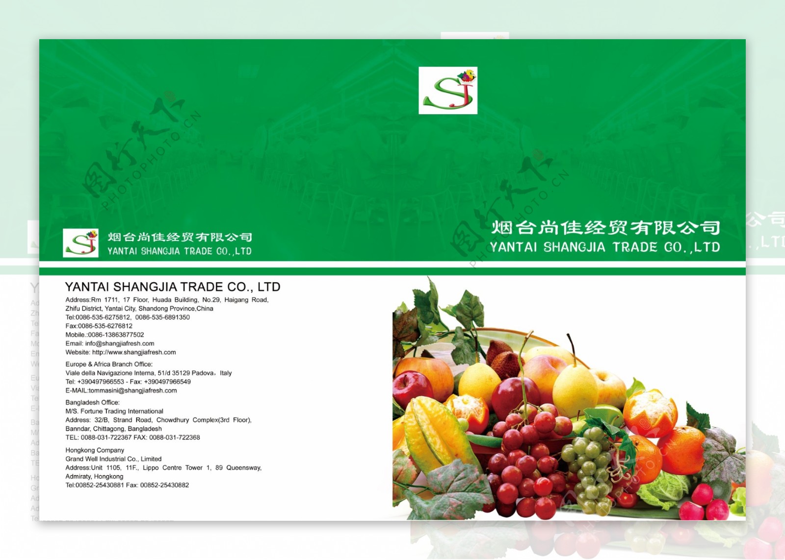 果蔬类画册封面设计图片