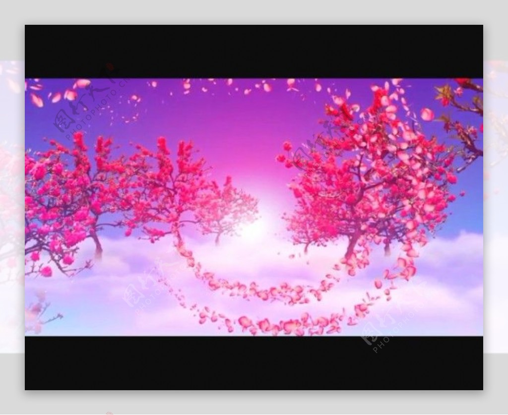 桃花树背景视频素材