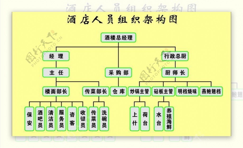 酒店人员组织架构图图片