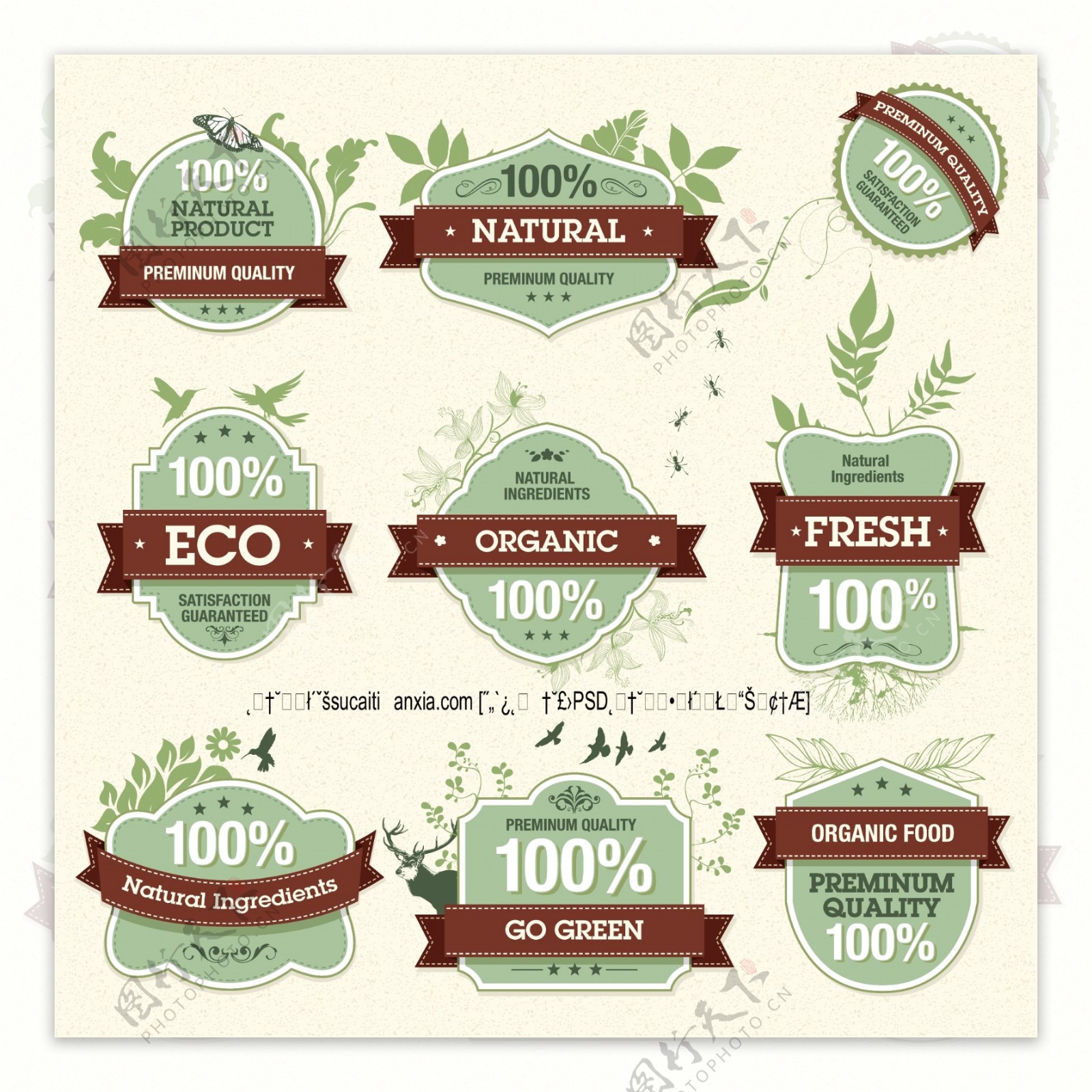 自然生态有机食品标签矢量素材