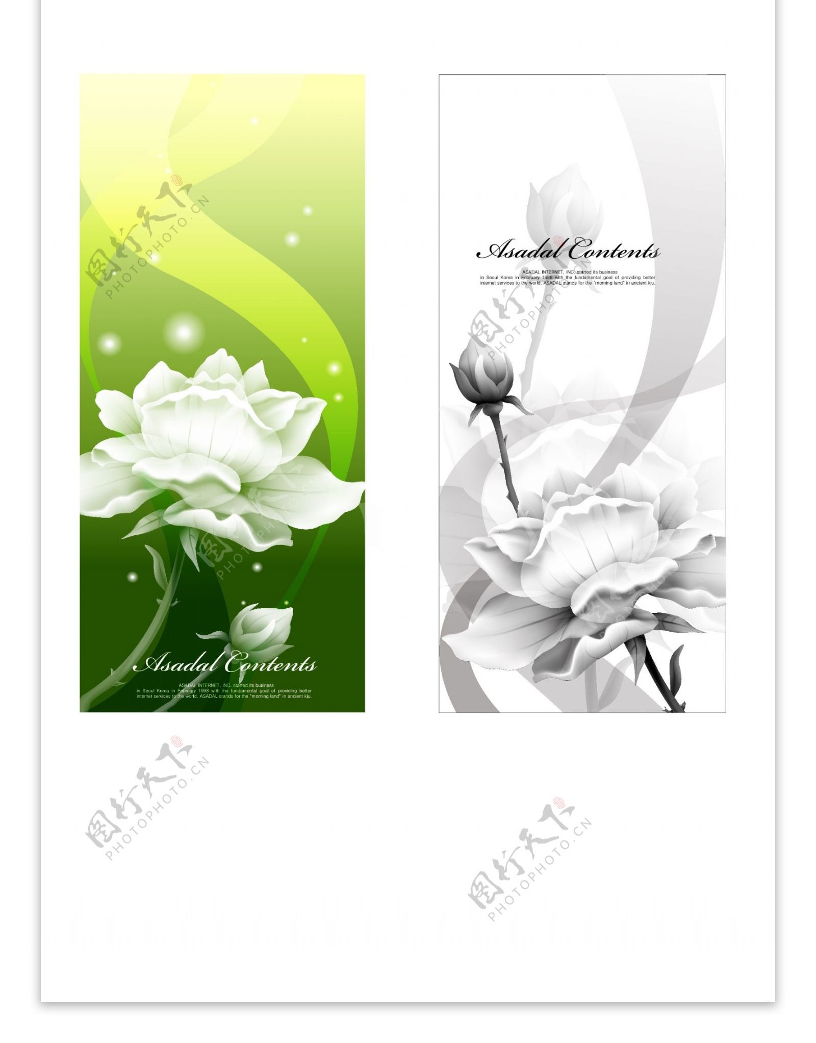 白色花卉装饰banner