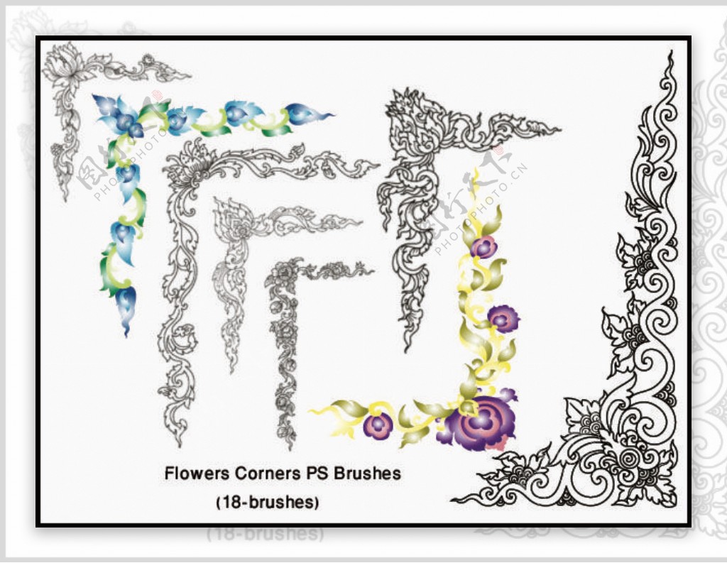 新款高清晰花朵花边花纹ps装饰笔刷合集图片