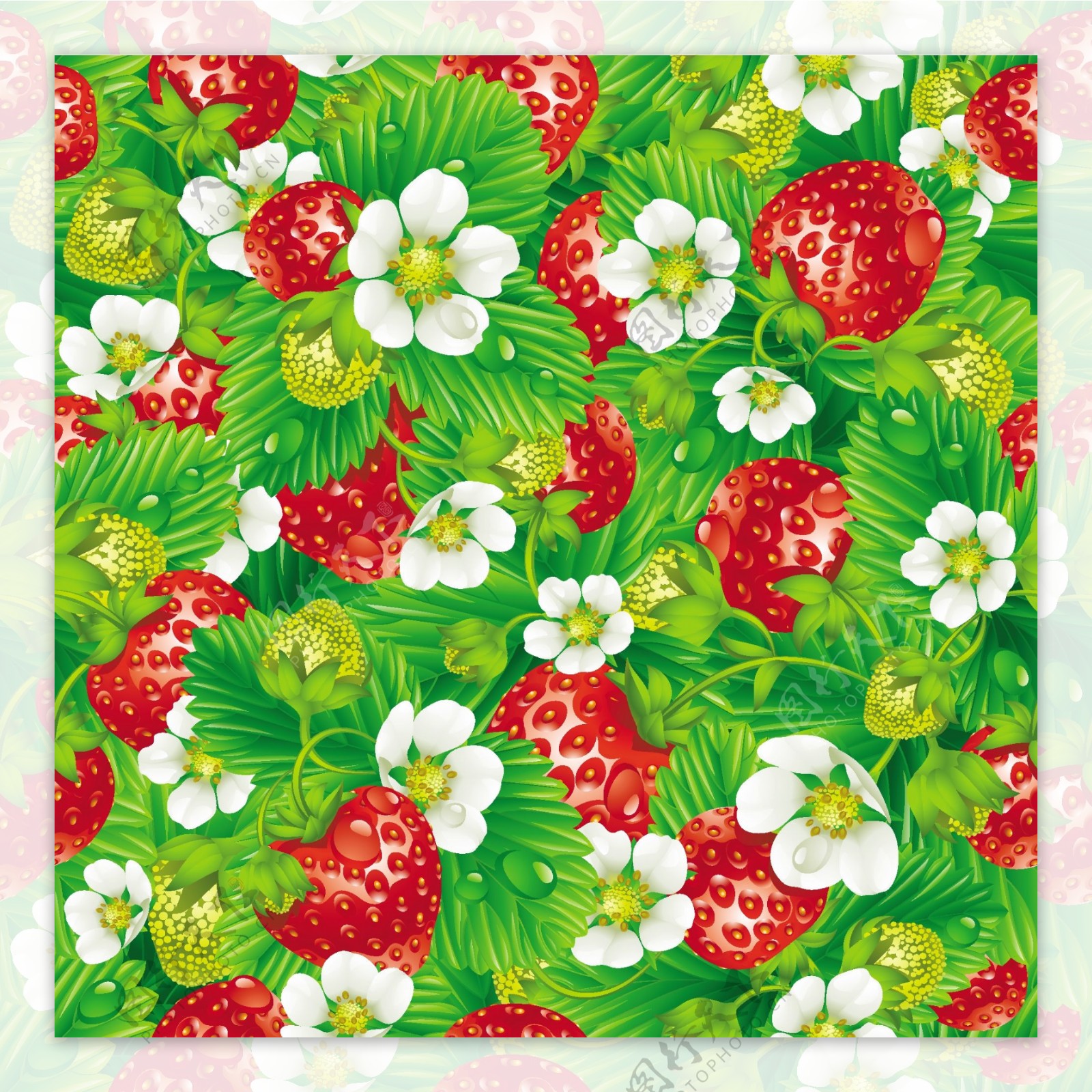 绿叶鲜花草莓水珠水滴背景图片