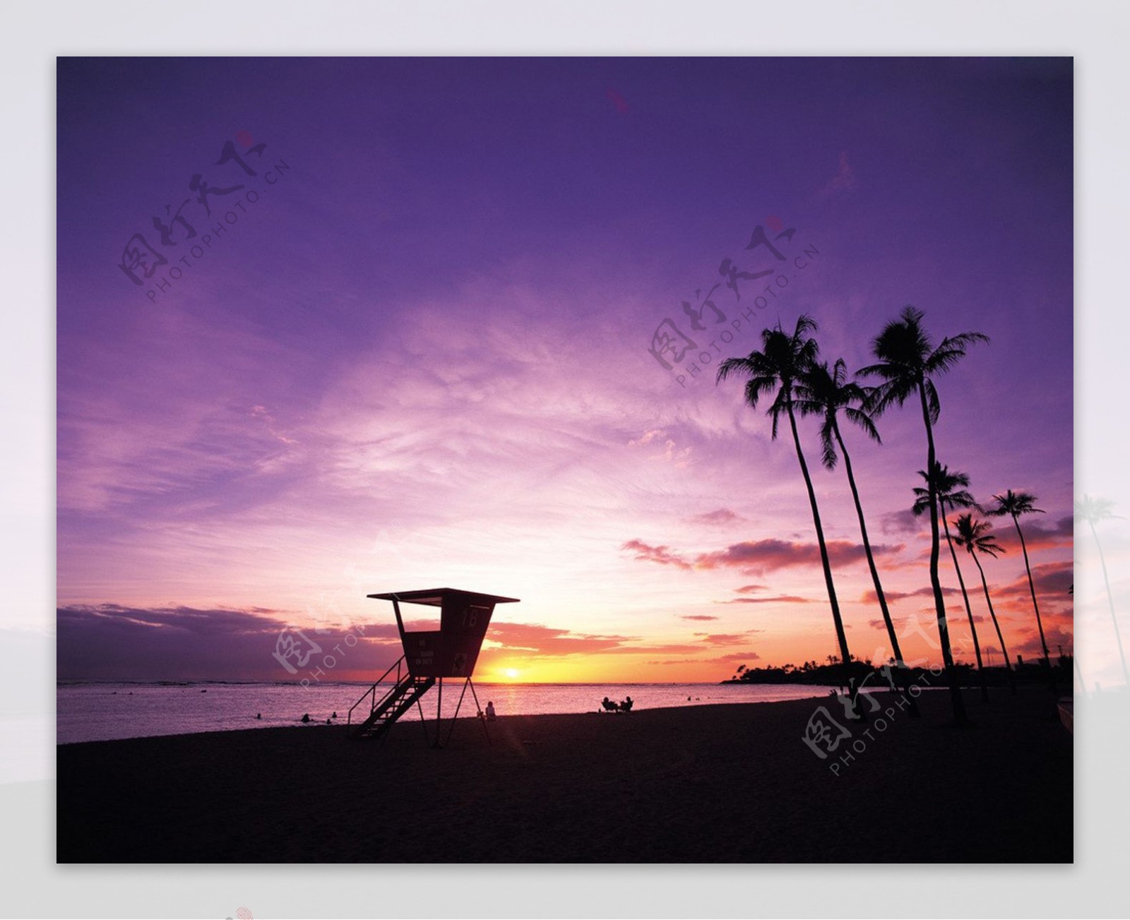夏威夷夜景图片