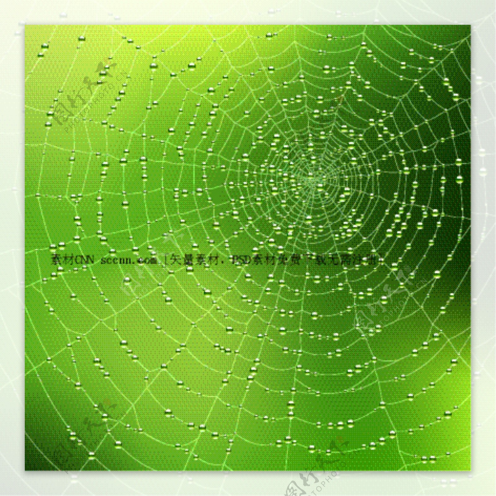 带水滴的蜘蛛网