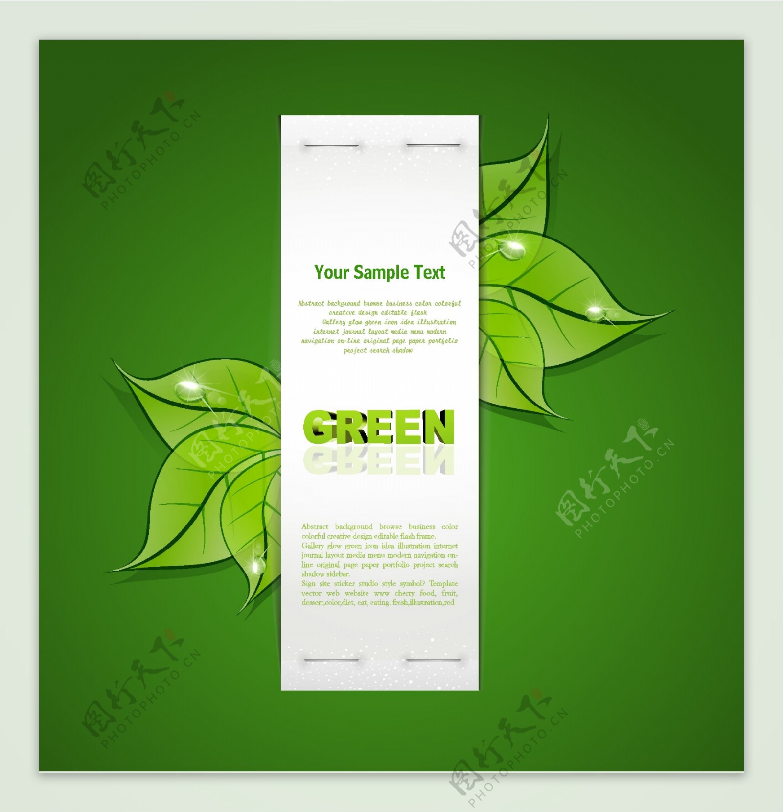 绿叶水珠水滴绿色环保背景图片