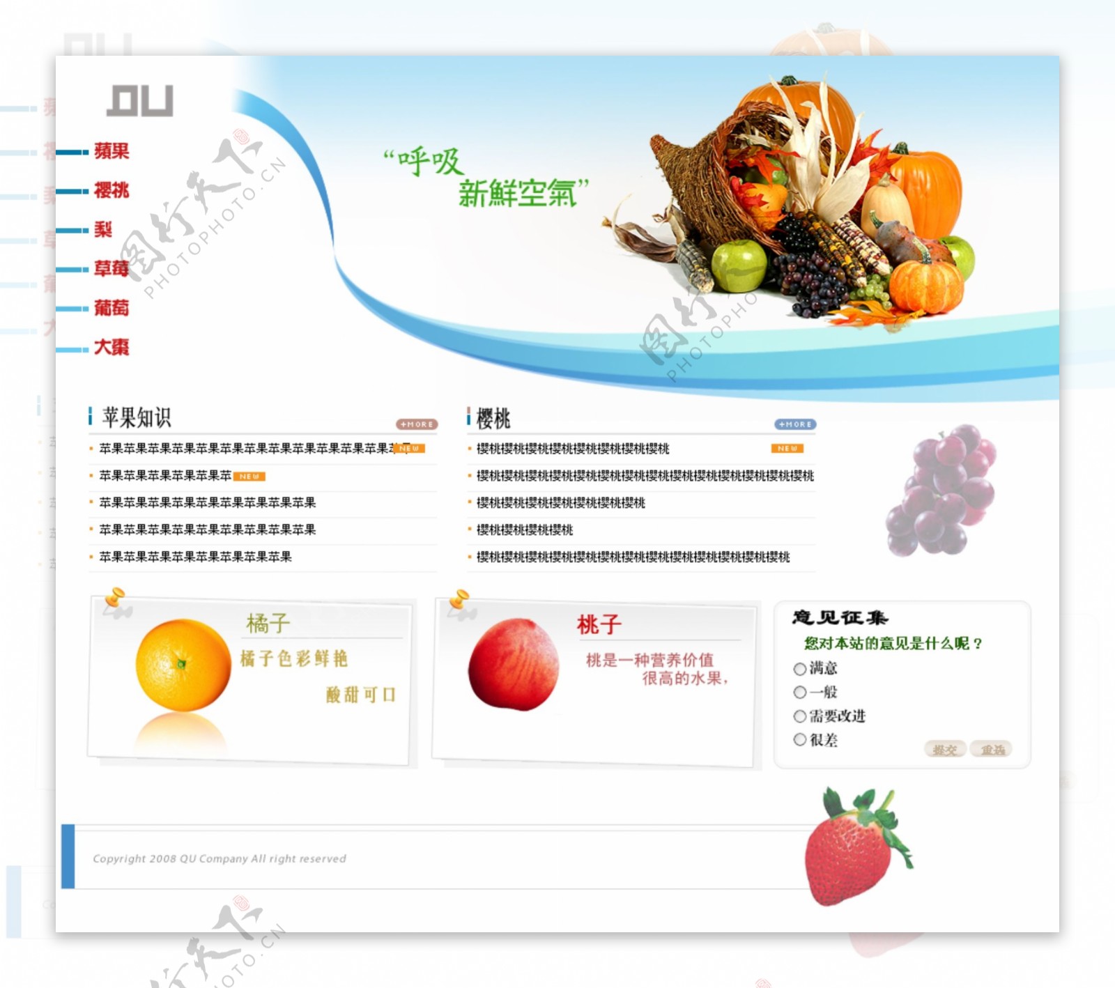 水果类网站图片