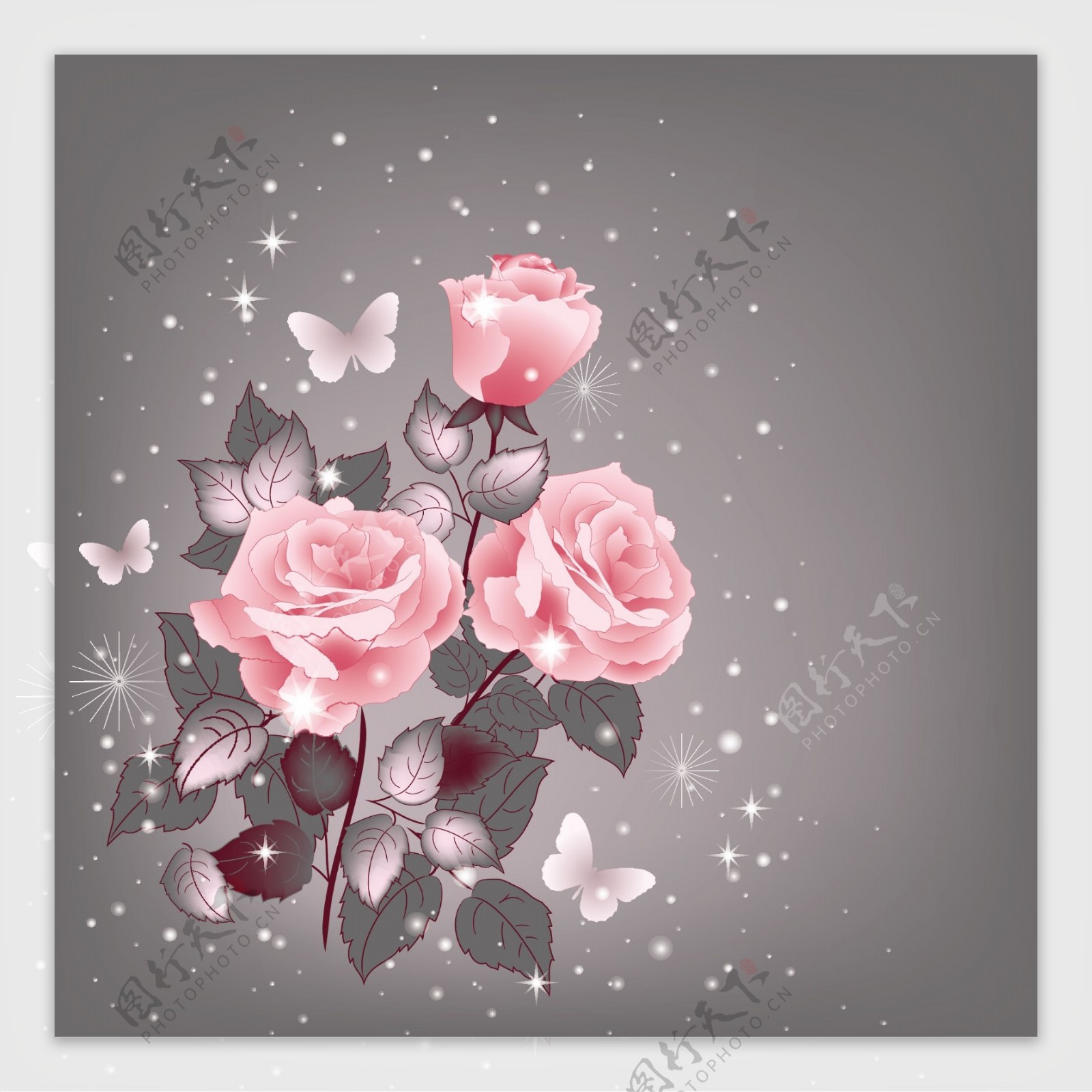 美丽的粉红色的玫瑰花背景矢量02年份