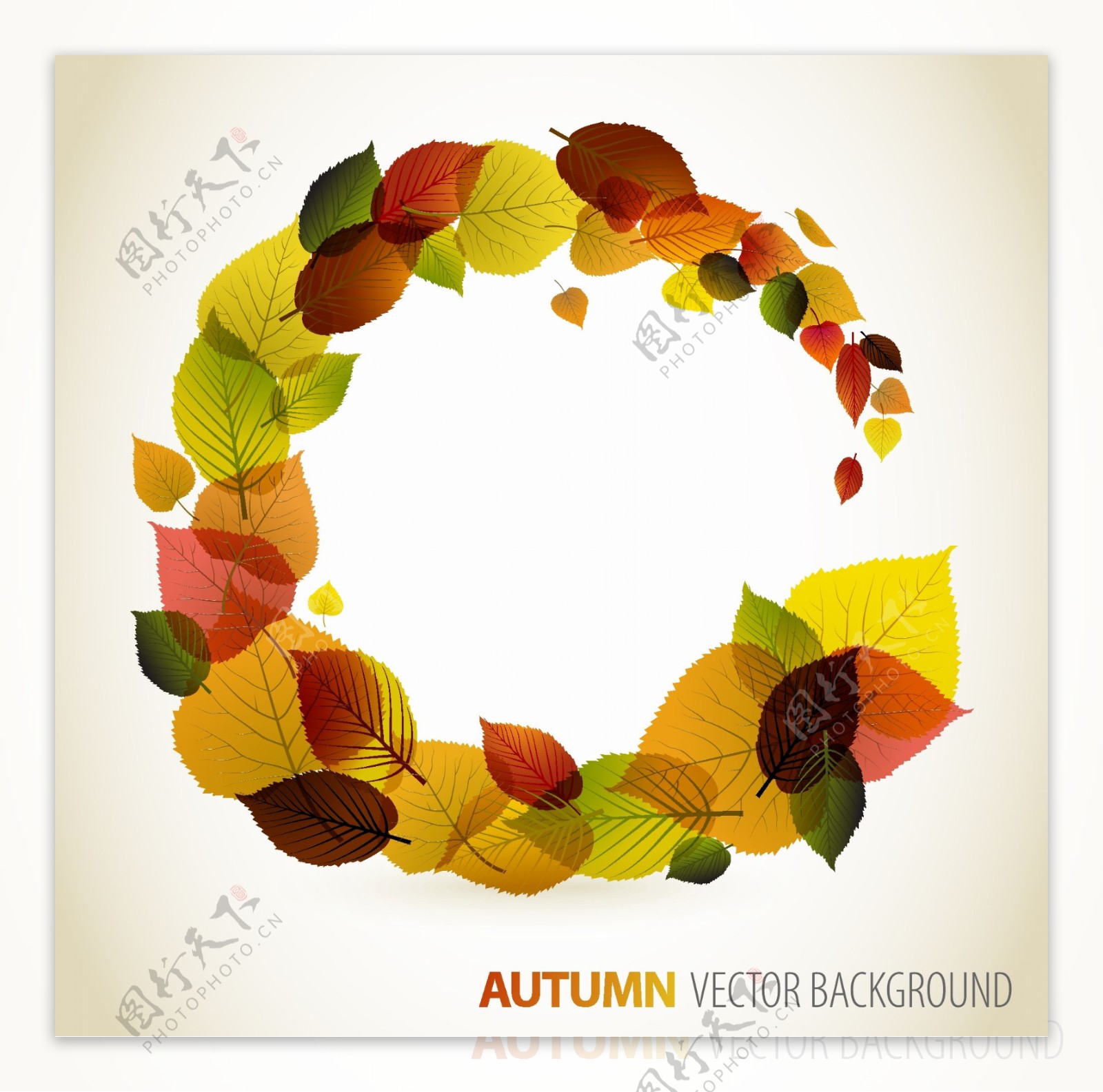 秋天的树叶矢量4图形设计