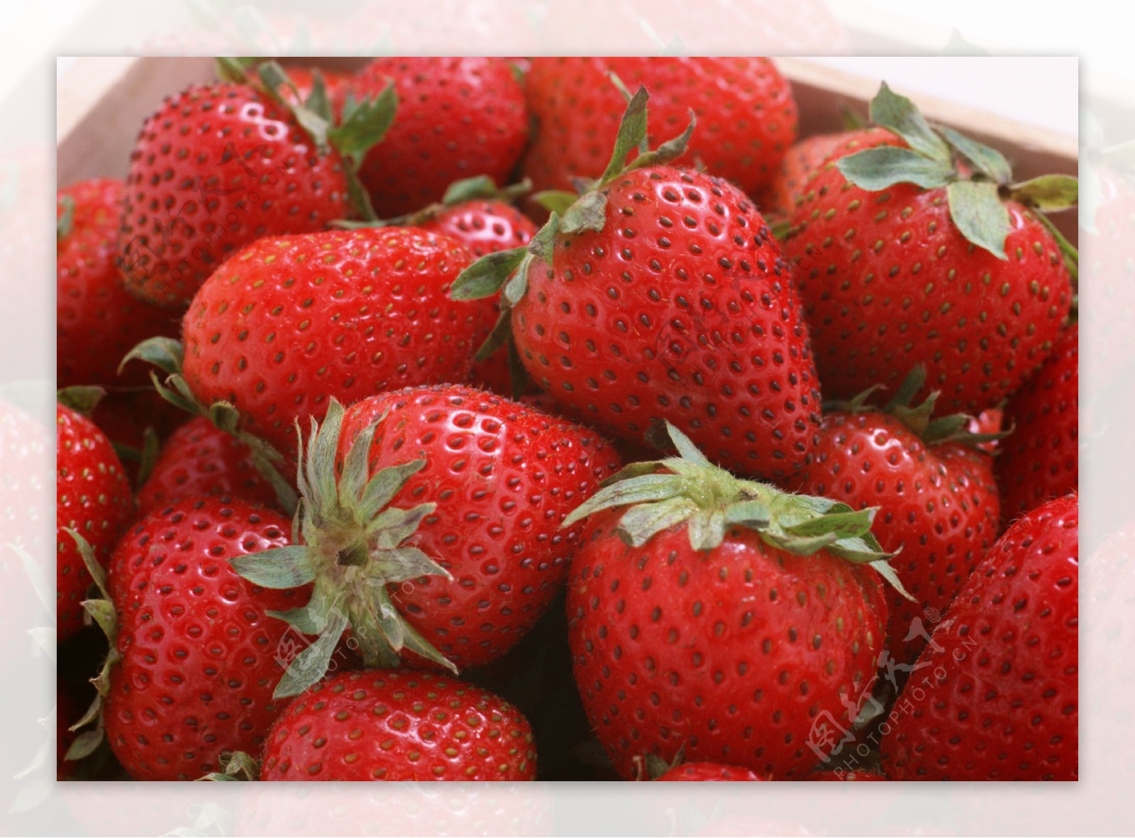 水果蔬果美图草莓