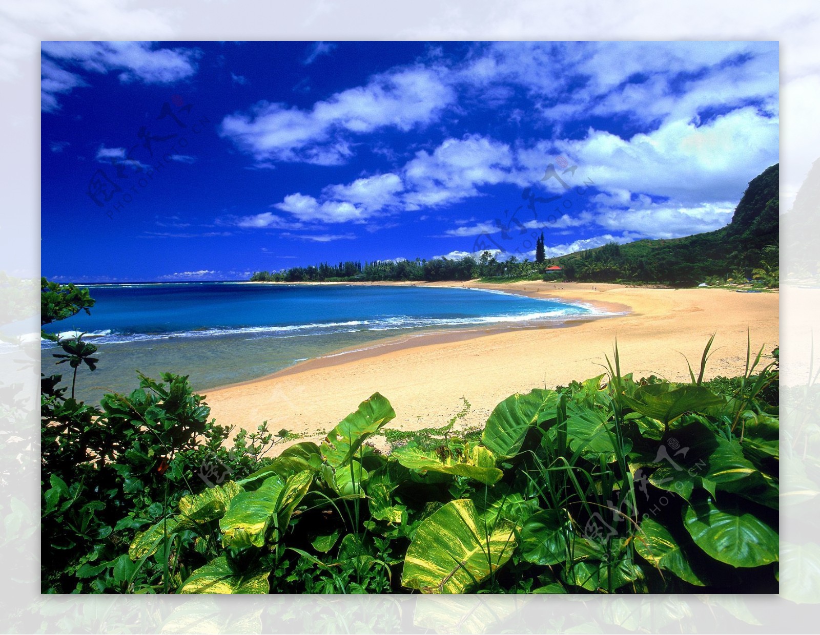 夏威夷风光壁纸图片