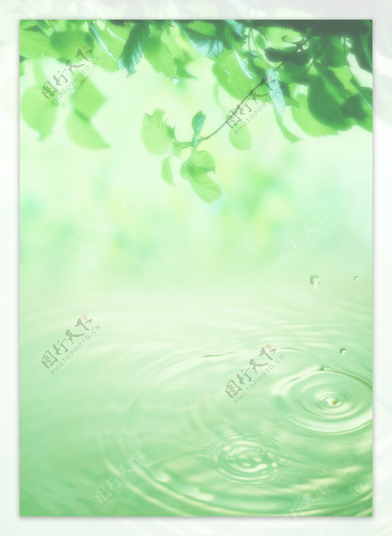 树叶水滴水纹图片