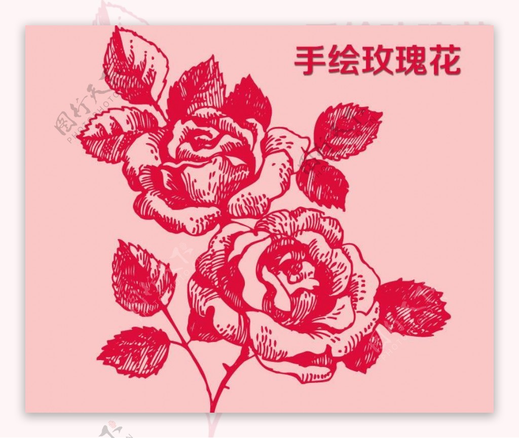 玫瑰花笔刷图片