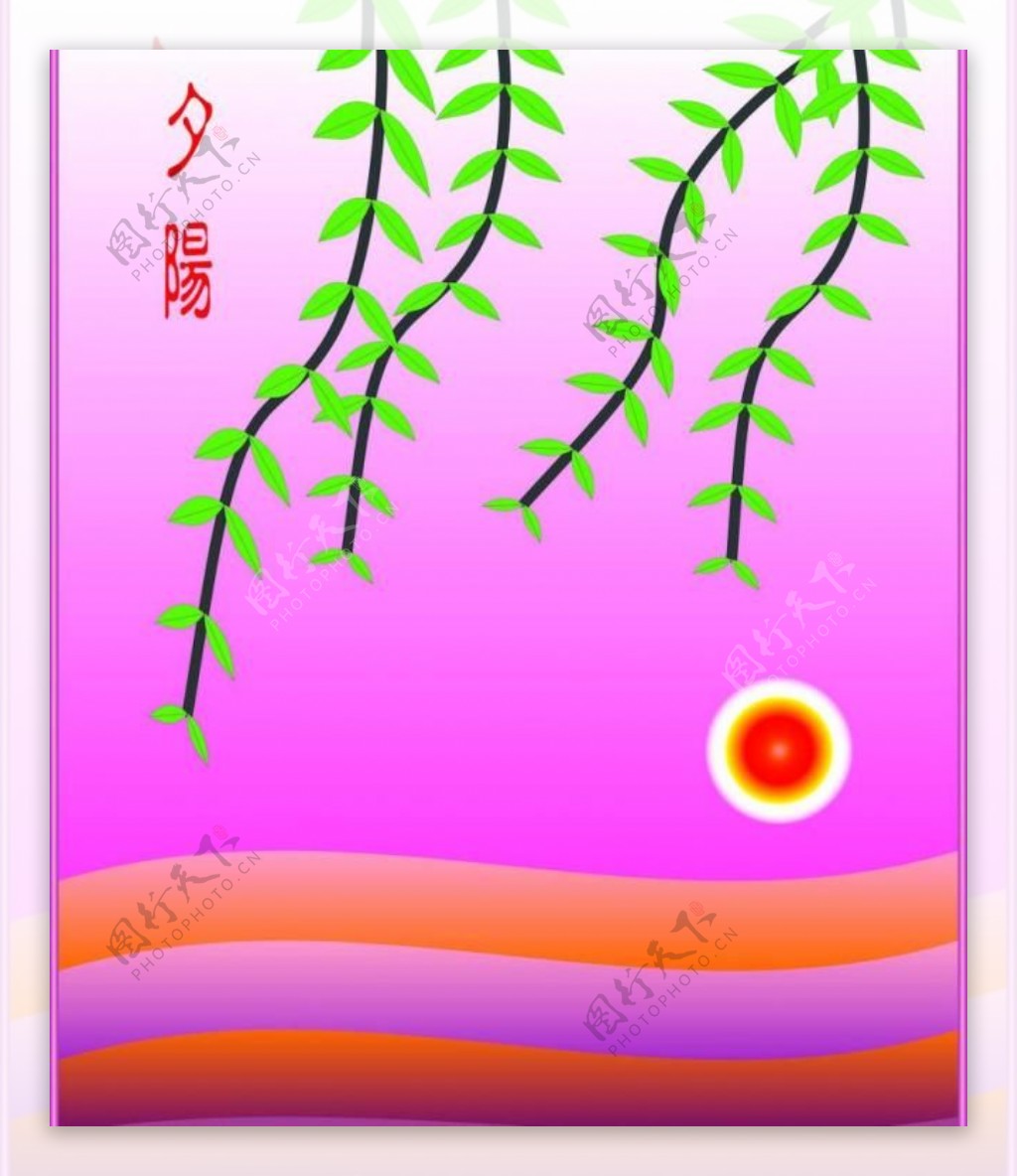 太阳柳树图片