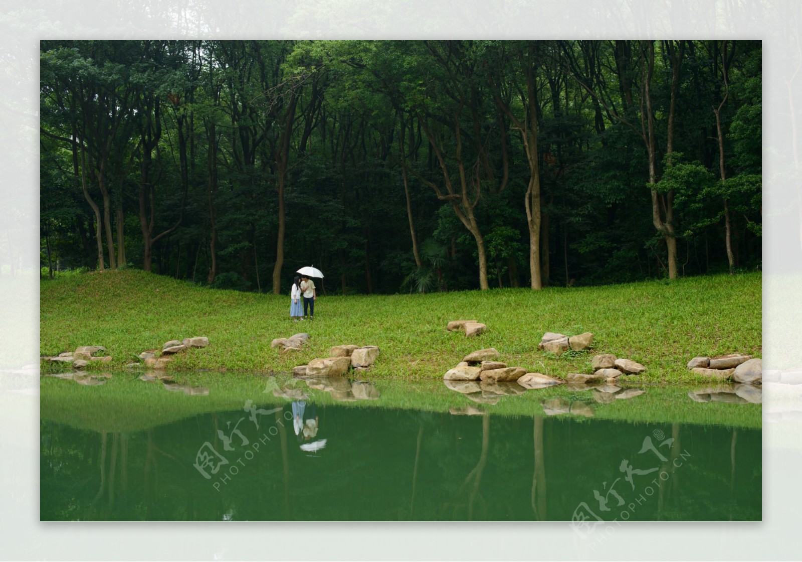 植物园里的风景图片