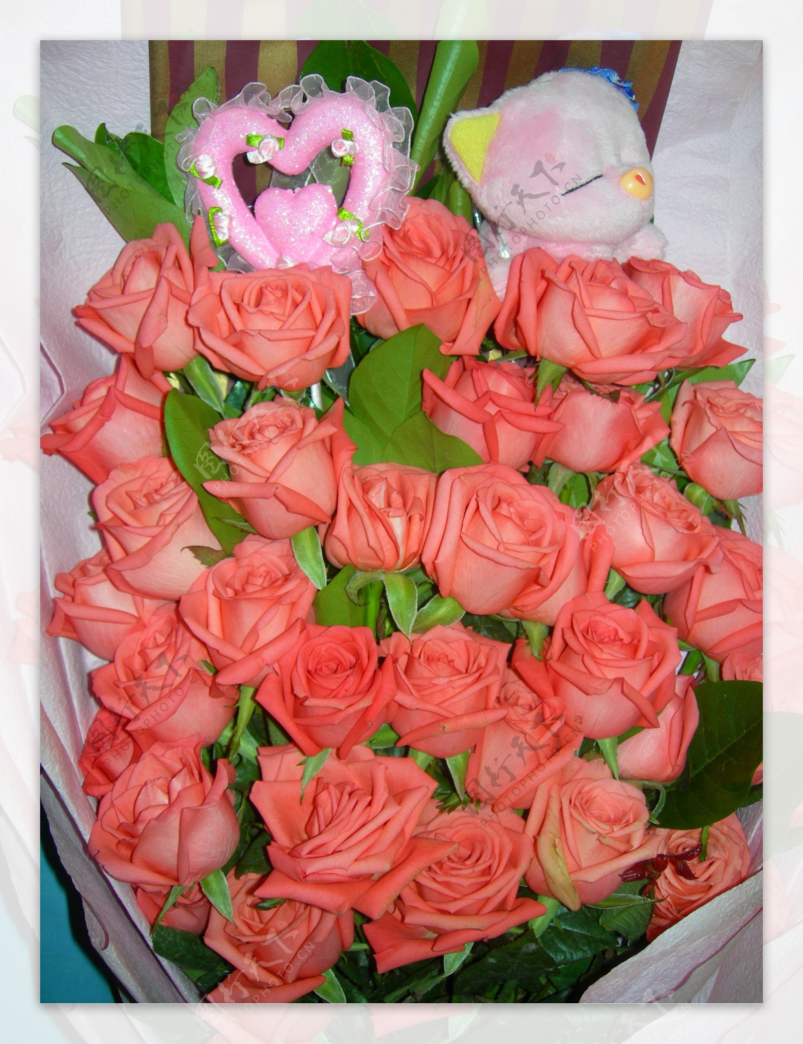 甜蜜粉玫瑰图片