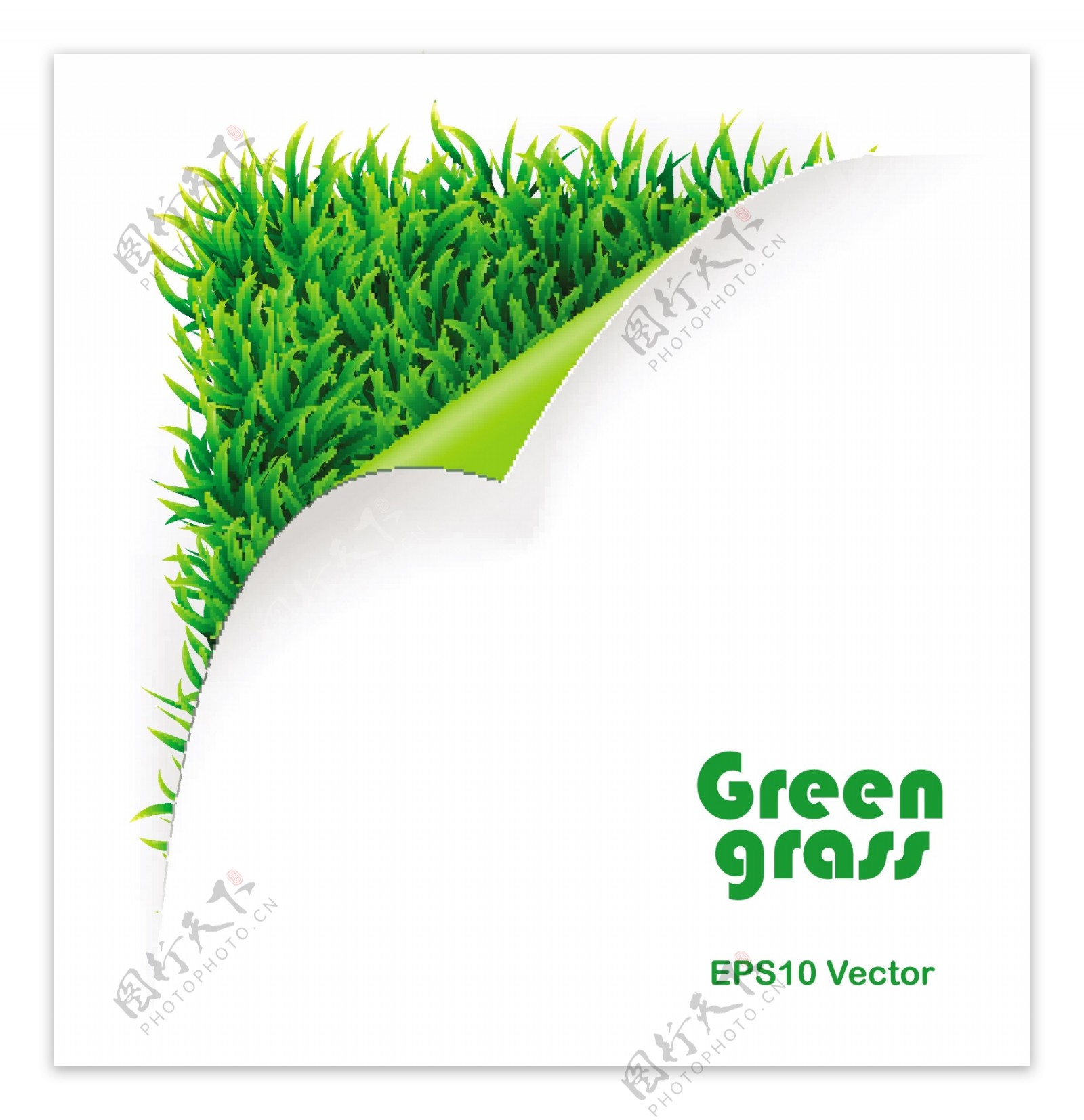 创造性的绿色草地背景文本模板矢量素材02
