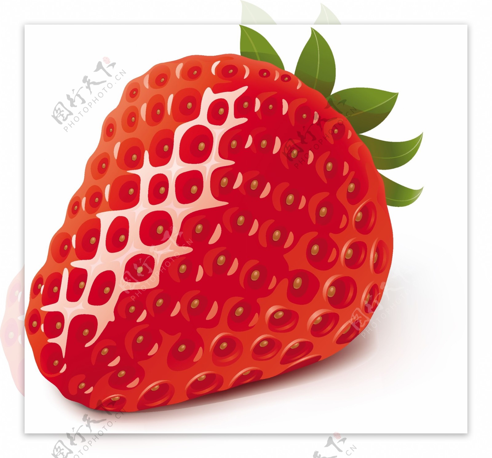 高清草莓矢量图素材