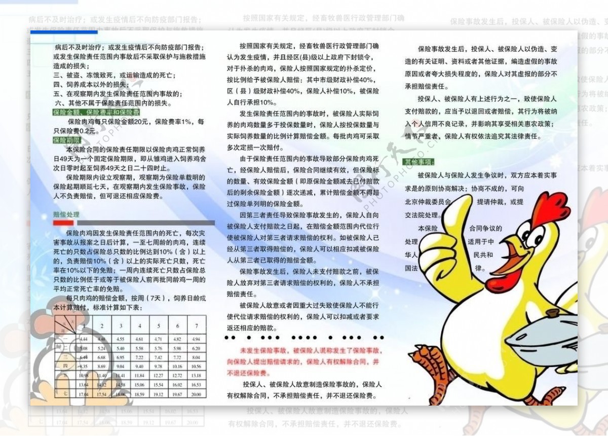 肉鸡彩页图片